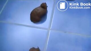 big turd from a hot ass