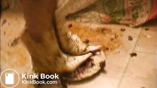 Extreme scat play from dirty girl solo