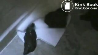 Girl poops amazingly long turd in her hand