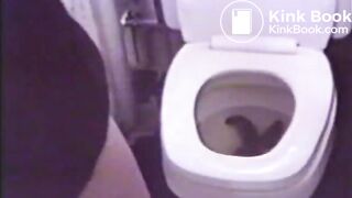 Thick Toilet Poo