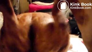 Big booty lady getting shit fucked really good