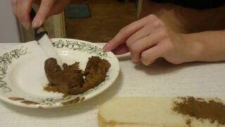 Shit collection scatdog