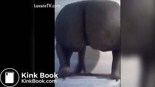 Ebony poop - video 10
