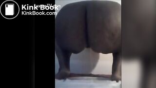 Ebony poop - video 10