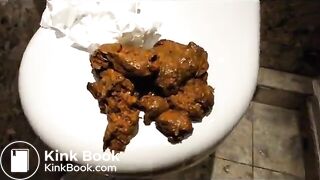 scat on the toilet seat