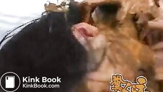 Eat Shit Satoshi ... (Trailer)