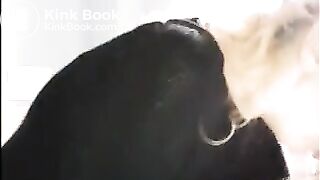 Blonde Camgirl tries her shit