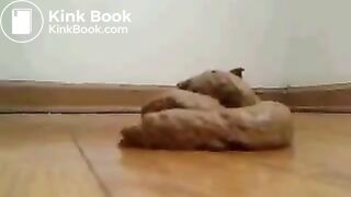 some doo doo on the floor maybe livingroom or kitchen dont know