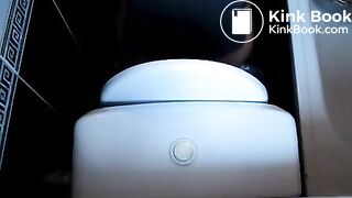 Toilet Poop And Farts