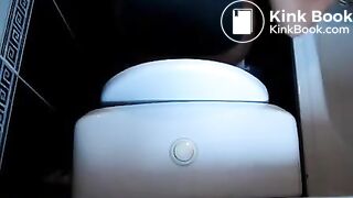 Toilet Poop And Farts