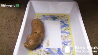 FG bambi fat hard textured dump