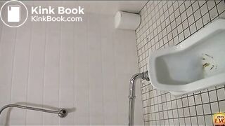 Crappy public toilet in Japan