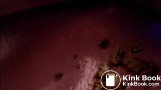 Ebony goddess licks toilet