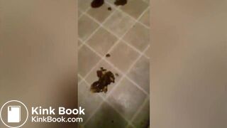 bbw shits all over the house