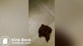 bbw shits all over the house