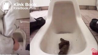 Japanese Defecation