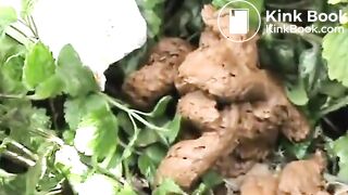 Shitting Behind A Dumpster