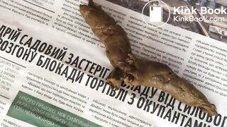 Scat on a newspaper