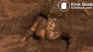 manure bath