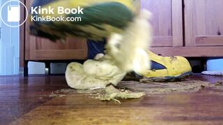 teddy bear stomp under poop