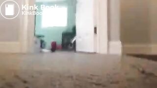 GOOD MORNING HALL DUMP!!!