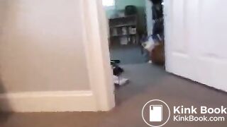 GOOD MORNING HALL DUMP!!!