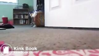 GOOD MORNING HALL DUMP!!!