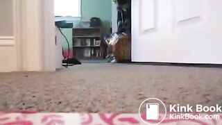 GOOD MORNING HALL DUMP!!!