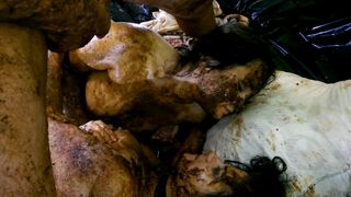 This is how we do it