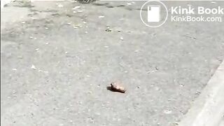 Mature woman shitting on the street