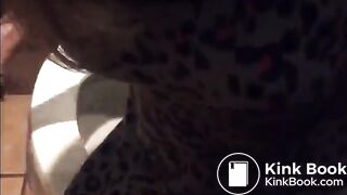 public toilet scat eat