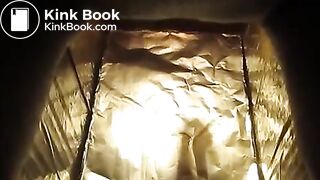 scat - Four excellent poops