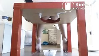 Home made toilet