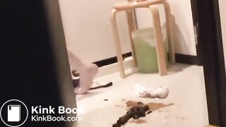 Family Scat Acidents