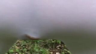 Another pair of white leggings becomes the victim