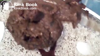 MOMMY SHIT HERSELF 3