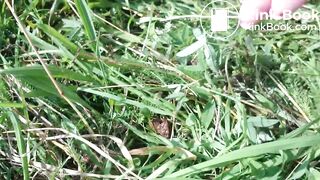 Sexy Blonde Field Scat