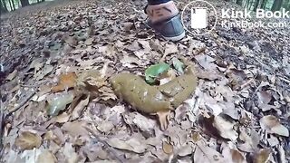 Forest shit - video 4