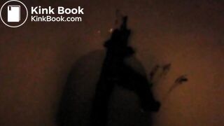 My 2 sisters shitting in our toilet