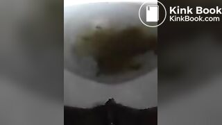 Ebony Toilet Shits 9