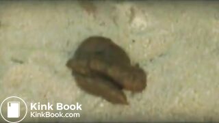 Shitting at the beach - video 2