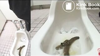 This is what you call a snake turd