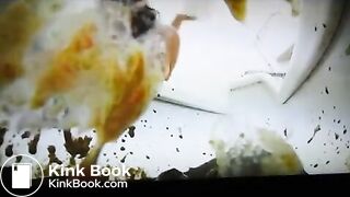 Japanese OL Desperate Diarrhea