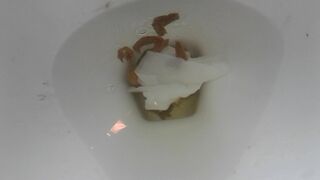 Little Noisy Creamy Dump In The Toilet