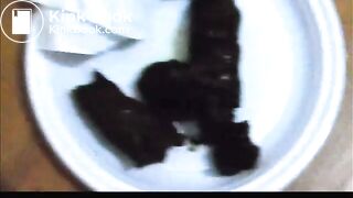 Shitting and pissing on the plate 2