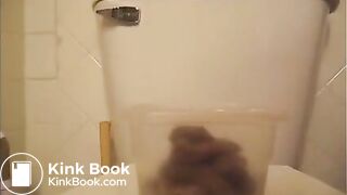 Plastic container creamy poop