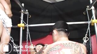 scat 31