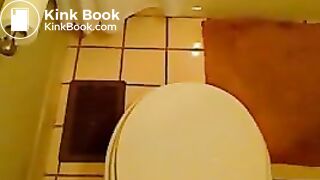 Toilet poops - video 2
