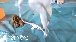 Shitting in her lunch box