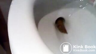 a toilet turd